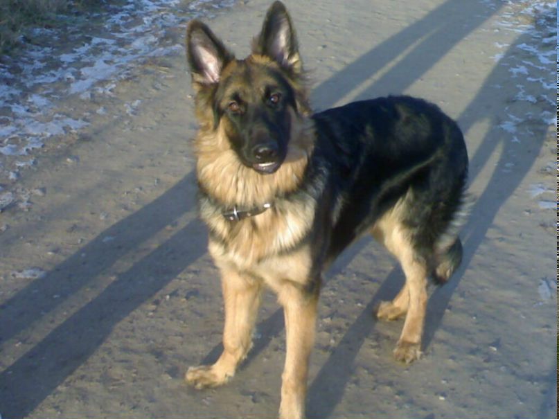 Viktor Burlaenko фотография #4