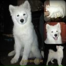 Фотография Цветковой Регины