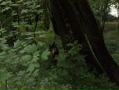 Antoshka __s.k._____ фотография #35 (источник - https://vk.com/id63420932)