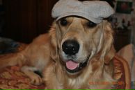 Фотография Кашаповой Эльмиры