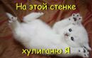 Діана Павлючик фотография #32 (источник - https://vk.com/id151698746)