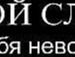 Віталій Павлюк фотография #17 (источник - https://vk.com/id107506126)