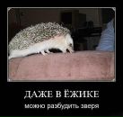 Фотография Лиманского Сергея