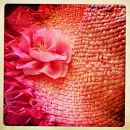 Фотография Laro Sofia