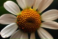 Валерий Матвеенко фотография #15 (источник - https://vk.com/id1864779)