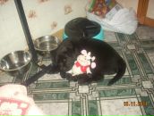 Фотография Магиной Ольги