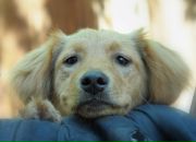 Фотография Репиной Марии