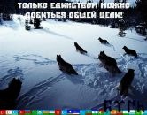 Абрек Чанкаев фотография #13 (источник - https://vk.com/id346102)