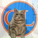 Фотография Чугуновой Оксаны