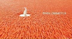 Фотография Пересторониной Ирины