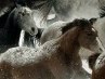 Діма Коврижко фотография #16 (источник - https://vk.com/id137778057)