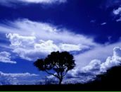 Фотография Семыкина Ильи