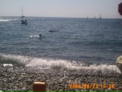 Фотография Конопицыной Елены