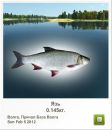 Віктор Камлук фотография #23 (источник - https://vk.com/id162080953)