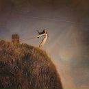 Фотография Рязанцевой Анастасии