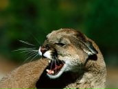 Фотография Федоровой Александры