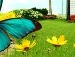 Venxiko *_* фотография #3 (источник - https://vk.com/id139215083)