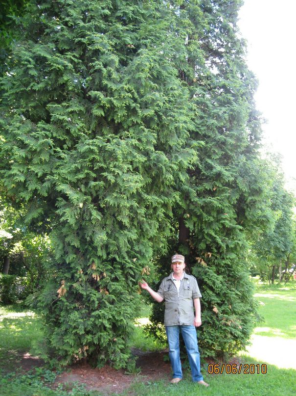 Сергей Перфильев фотография #6