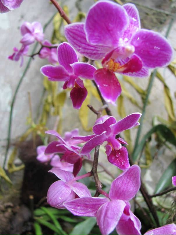 Сергей Царёв фотография #36