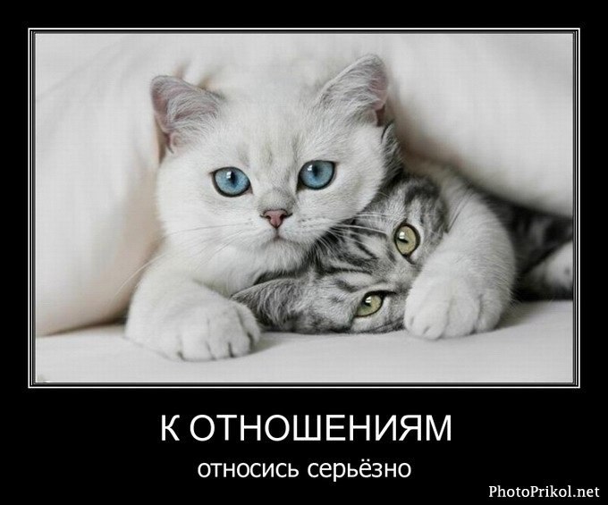 Mars Explosion фотография #16