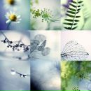 Фотография Крутиковой Анны