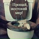 Настя Білінська фотография #40 (источник - https://vk.com/id124338280)