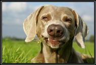 Мішаня Шинкаренко фотография #13 (источник - https://vk.com/id22364758)