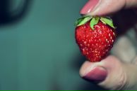 Аліна Савченко фотография #31 (источник - https://vk.com/id144177073)