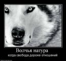 Саня Матвіїшин фотография #32 (источник - https://vk.com/id39829698)