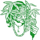 Фотография Дунаева Дмитрия