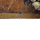 Марися Підгурська фотография #14 (источник - https://vk.com/id156009345)