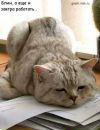 Фотография Ивановой Ксении
