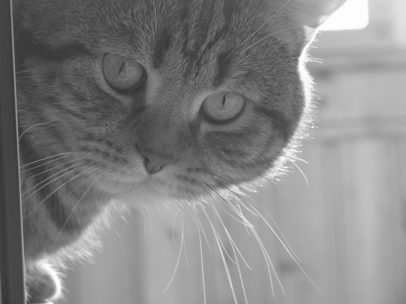 Ольга Киселёва фотография #2