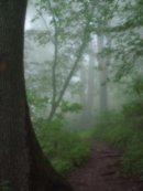 Plusha Кислая фотография #26 (источник - https://vk.com/id3554272)