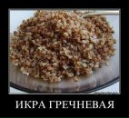 Евгений Коньков фотография #18 (источник - https://vk.com/id1362335)