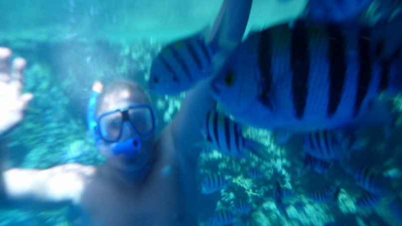 Дмитрий Гусельников фотография #37