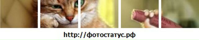 Анатолій Радовенюк фотография #25 (источник - https://vk.com/id88950914)