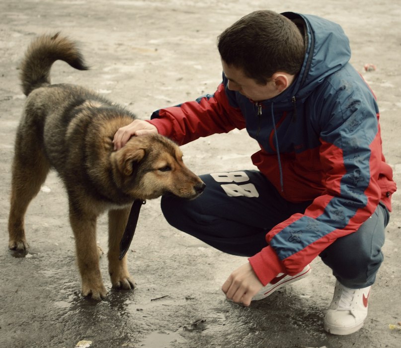 Dan Cold фотография #41