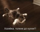 Амереканський Пілот фотография #6 (источник - https://vk.com/id162920024)