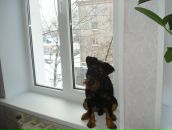 Фотография Окуловский Александр