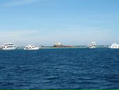 Віталій Кравчук фотография #49 (источник - https://vk.com/id11867526)