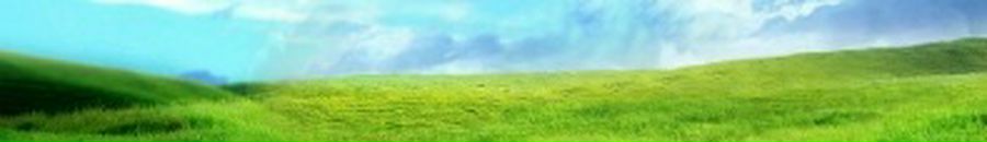 Оля Ломянська фотография #46 (источник - https://vk.com/id143404028)