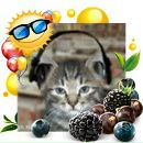 Alex Fox фотография #31 (источник - https://vk.com/id40662)