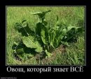 Фотография Никулы Ксении
