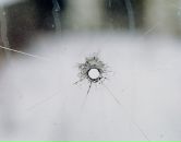 Федор Grindcore фотография #35 (источник - https://vk.com/id4880278)