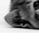 Аня Тацій фотография #23 (источник - https://vk.com/id132719561)