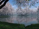 Фотография Лопуховой Елены