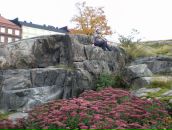 Фотография Копыловой Валентины