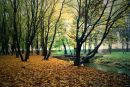 Сергій Христинич фотография #18 (источник - https://vk.com/id139892357)