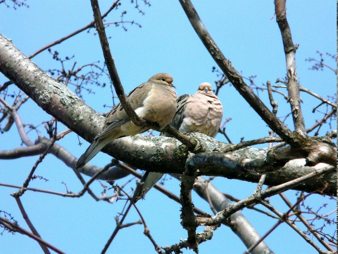 Валерия Ли фотография #43